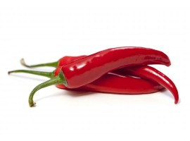 CHILI PEPPER