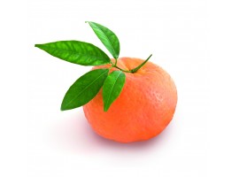 MANDARINE