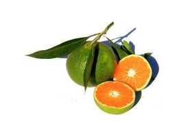 ORANGE VERTE