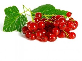 CURRANT