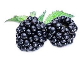 BLACKBERRY