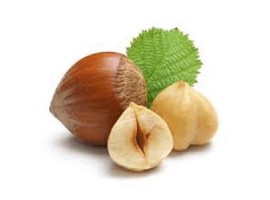 NOISETTE