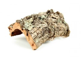 ECORCE