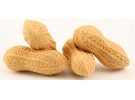 CACAHUETE
